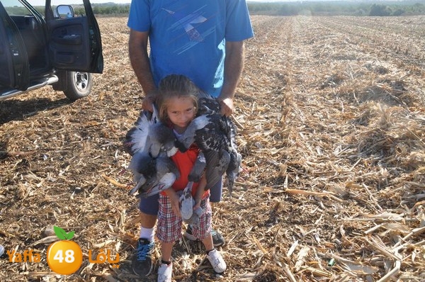 7amam lud monir 908 (28).JPG